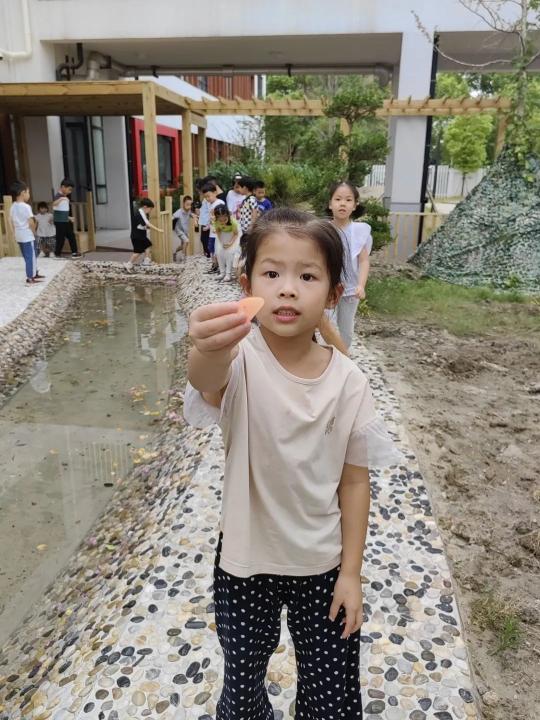 04467aedfd854a289064207cc84e63f5.Jpeg