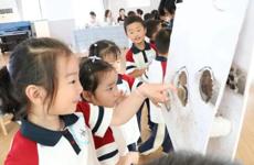 互学共研展蕙质，同心共进绽芳华——吴中区幼儿园骨干教师同题研讨活动